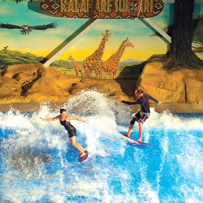 Flowrider 물 탐 즐기기, 파도타기를 하는 매력적인 파 미끄럼 널/물 공원 오락