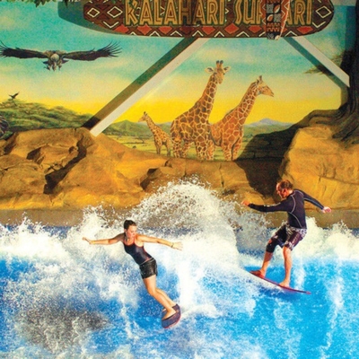 파도타기를 하는 OEM 물 공원 호텔 참신 Flowrider 유원지를 위한 기계 장비 가장
